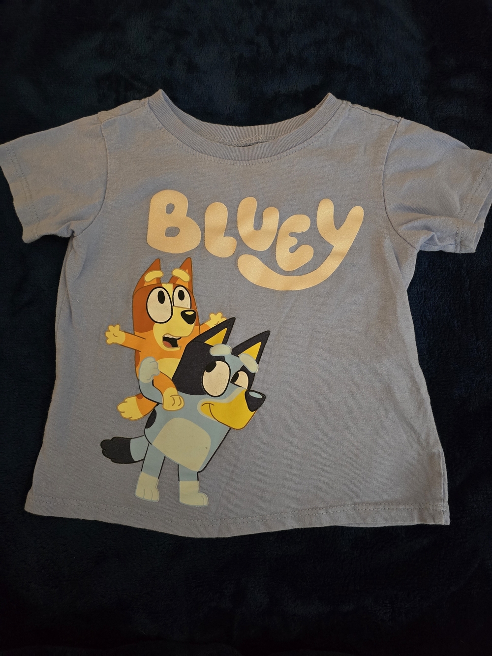 Bluey Graphic Short Sleeve Tee - Light Blue by Lucy